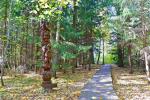 Lehrpfad der Dūkšta-Eiche im Regionalpark Neris - 5