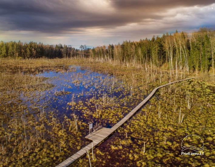 Dubrava marsh reserve - 1