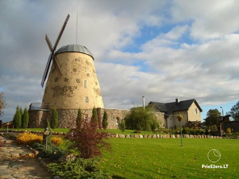 Seduva mill