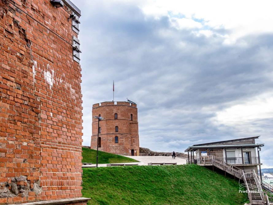 Gediminas castle and Gediminas castle tower - 1
