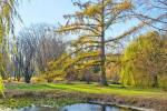 VDU Botanischer Garten in Kaunas - 6