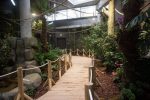 Kaunas zoo park - 4