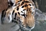 Kaunas zoo park - 6
