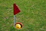 Monteball – a new sports game in the homestead Pagriaumėlė - 5