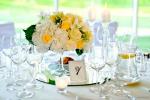 Countryside tourism complex in Trakai region on the shore of the lake "Margio krantas"