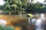 Wypożyczalnia kajaków w dzielnicy Varena. Sauna. Zagroda nad rzeką - 5