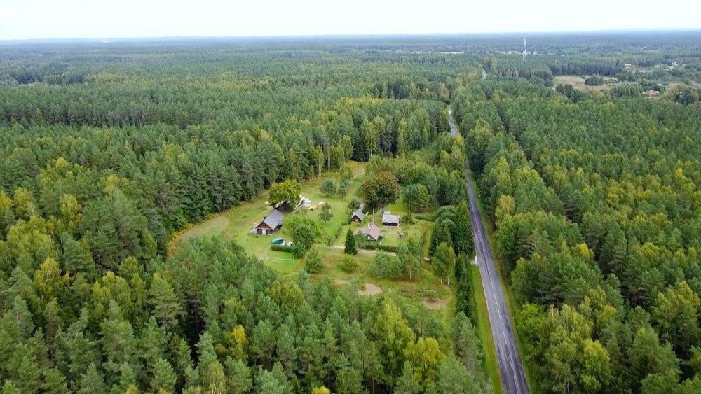 Labanor-Wald - 1