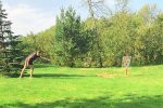 Диск-гольф в усадьбе «Акменине Сала» - 2