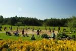 Beach volleyball courts near Druskininkai - 2