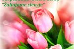 The band "Blooming Vibes" concert at Hotel and Restaurant in ZALIASIS SLENIS***