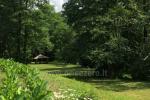 Real, frischem Honig! - 3