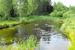 Land Tourismus in der Nähe des Flusses - 3