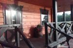 3 HOLIDAY COTTAGE - 3