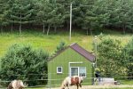 Домик Пушинас с купелью и отдельной территорией - 1