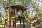 A double house in a tree - "Nesting-box 2" - 11