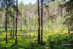 Walking tours in Labanoras Regional Park in Lithuania - 7