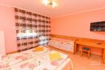 Holiday and guest house "Andante" in Druskininkai, in Kalnu street - 11