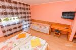 Holiday and guest house "Andante" in Druskininkai, in Kalnu street - 12