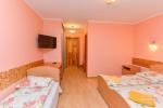 Holiday and guest house "Andante" in Druskininkai, in Kalnu street - 14