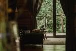 Villa "Pine wood" - 5